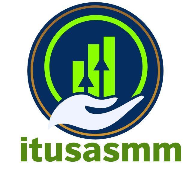 Usa Smmti